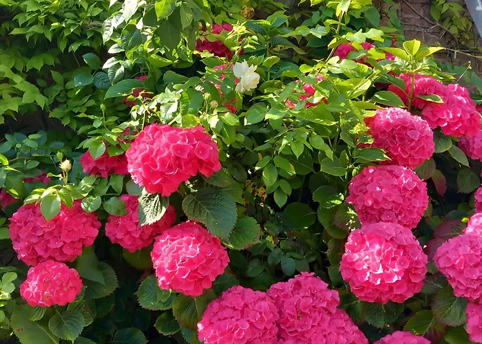 Frühstückspension Les Des Chtis Abbeville